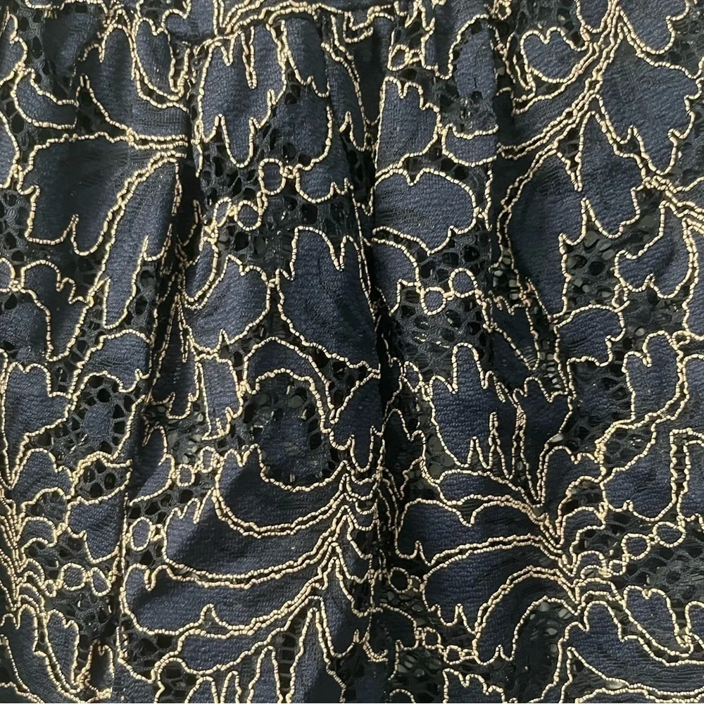 Zara Basics Collection Navy Blue Lace Short Sleeve Sheer Top - Picture 5 of 5